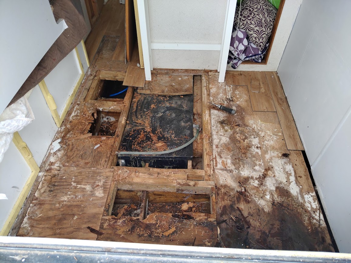 Rotted subfloor exposed